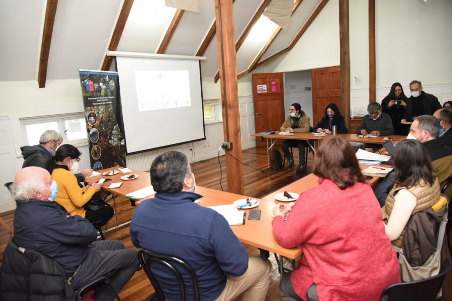 Realizan mesa técnica para estudiar interacción entre lobos marinos y cisnes de cuello negro