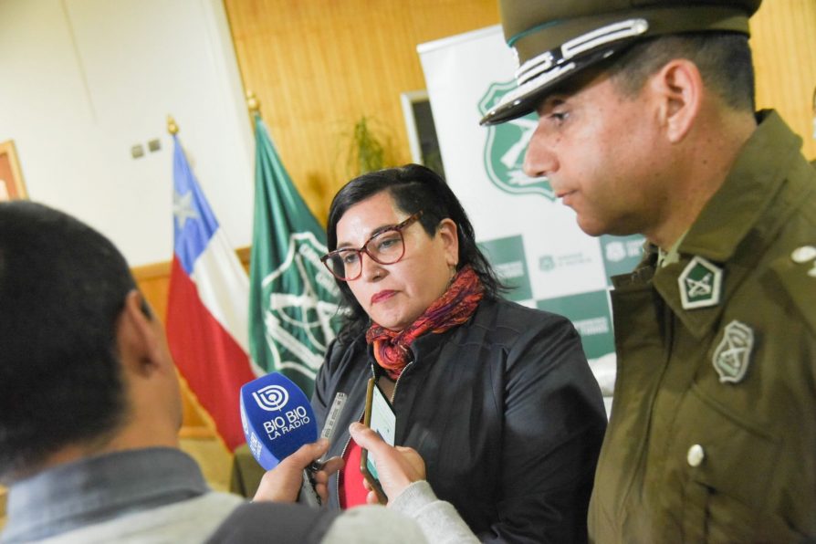 Delegada destacó labor de Carabineros en  operativo que permitió el decomiso de 10 kilos de drogas