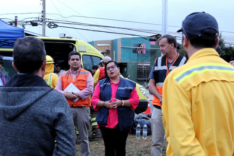 Trabajo coordinado fue clave para contener Incendio Forestal Villa Austral