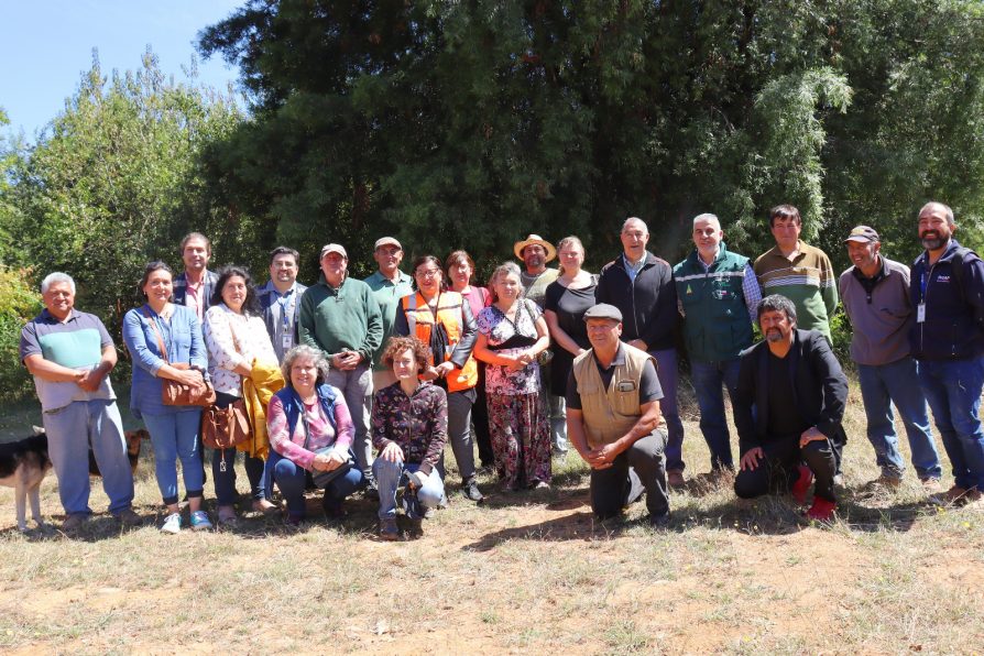 <strong>INDAP Los Ríos inicia entrega de recursos de emergencia para alimento animal de agricultores afectados por los incendios en Futa </strong>