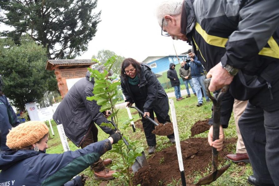 Gobierno y agrupaciones de Derechos Humanos dan inicio al programa Árboles por la Memoria en Los Ríos