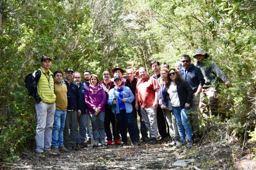 Delegada Carla Peña Ríos lideró visita al tramo de la Ruta T-720 que cruza el Parque Nacional Alerce Costero