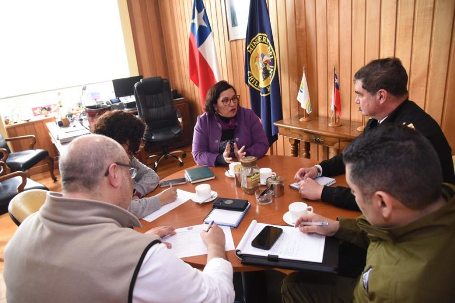 Delegada Presidencial Carla Peña Ríos anuncia plan de acción para garantizar la seguridad de los remeros en las aguas del río Calle-Calle