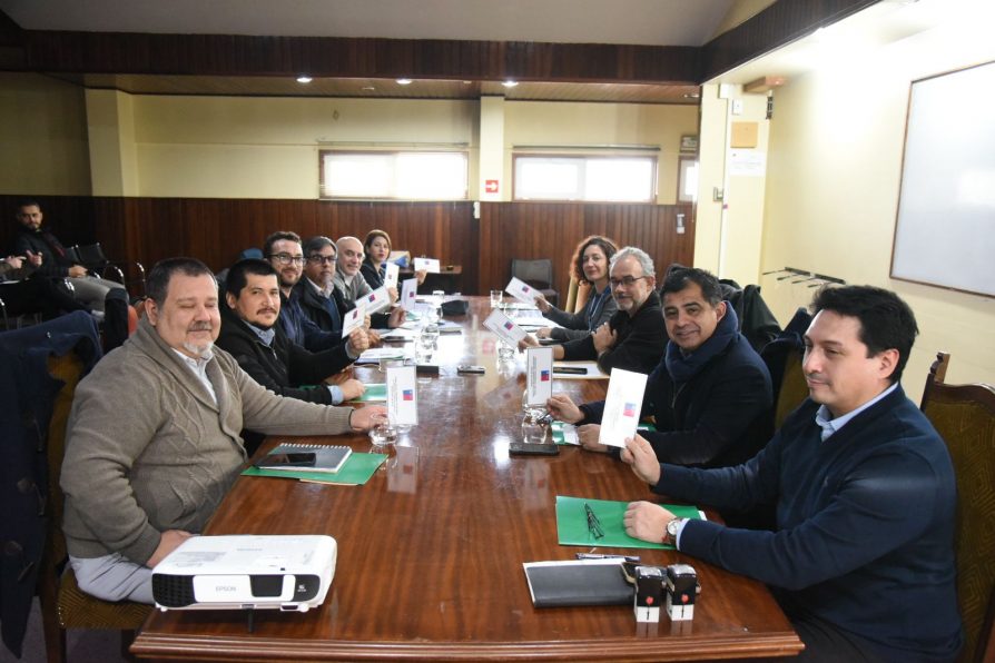 Comisión de Evaluación Ambiental aprobó por unanimidad proyecto Parque Fotovoltaico Los Lagos