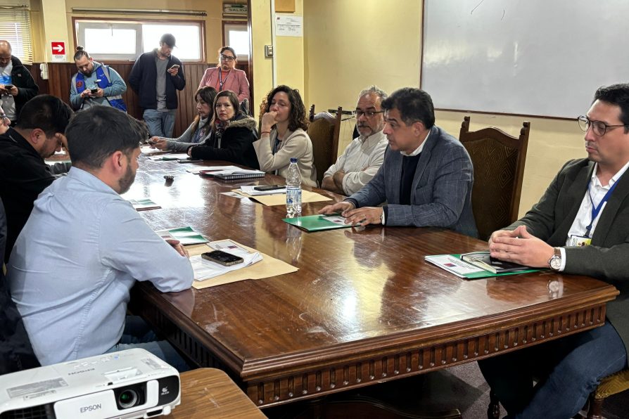 Comisión Ambiental de Los Ríos aprobó proyecto Parque Eólico Ovejera Sur con inversión de USD $280 millones en el territorio