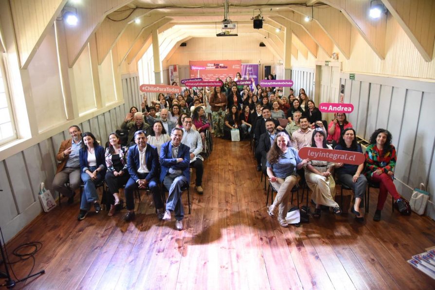 Casi 100 personas en Panguipulli conmemoran el 25N y relanzan campaña para difundir la Ley Integral y el abordaje a la violencia contra las mujeres