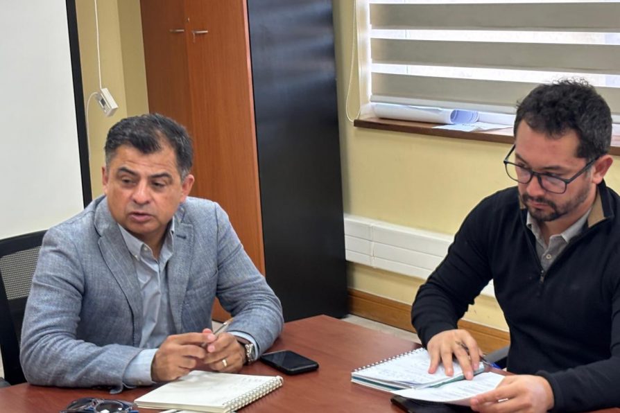 Delegación Presidencial coordina despliegue de seguridad para Noche Valdiviana y Noche Corraleña