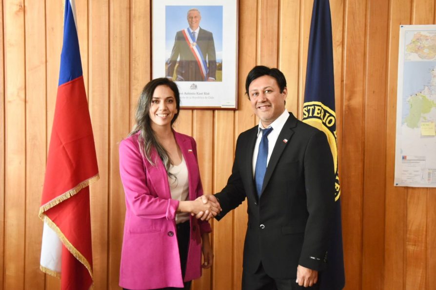 Delegada presidencial Vicky Carrasco presentó al nuevo Jefe de la unidad regional de SUBDERE, Dennis Álvarez.